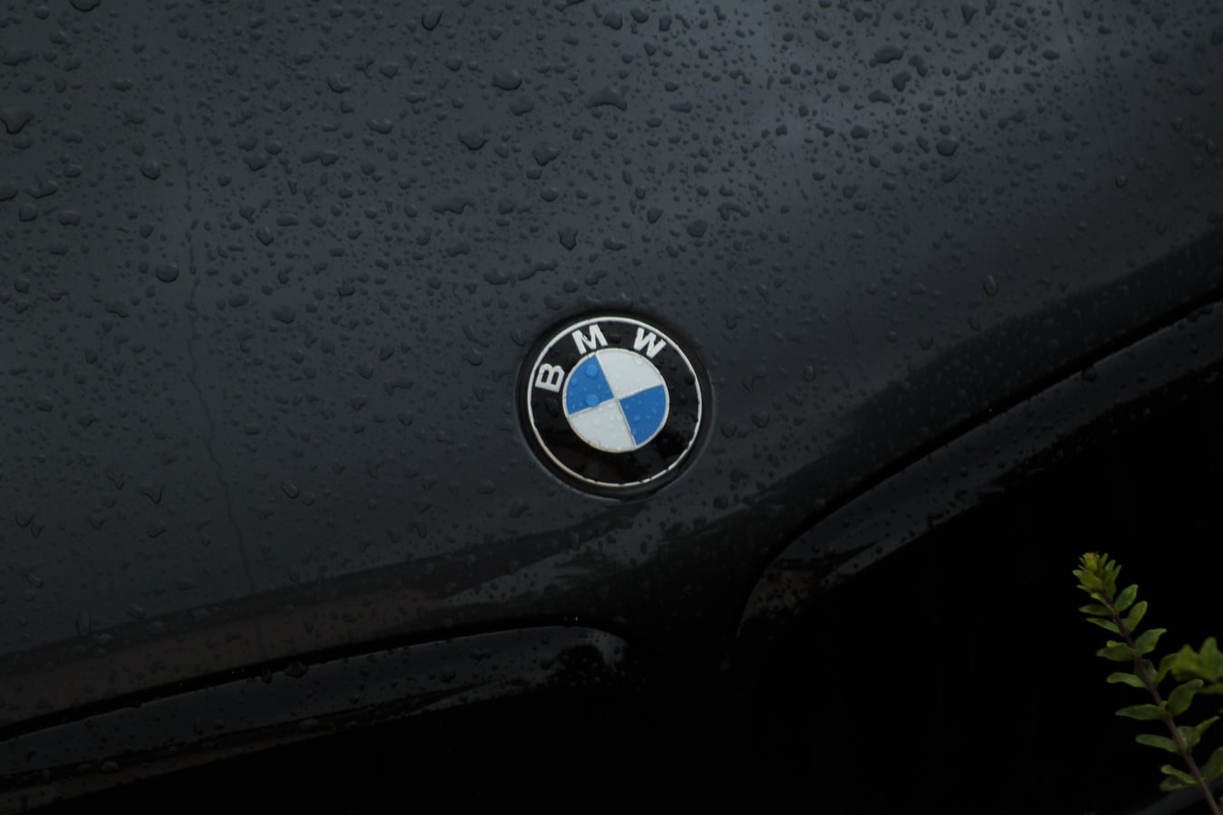 Glow Bandit Niende Udskiftning af forrude på BMW 3-serien | Rudeskift | BMW 3-serie