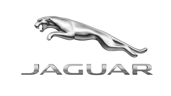 Jaguar bilglas